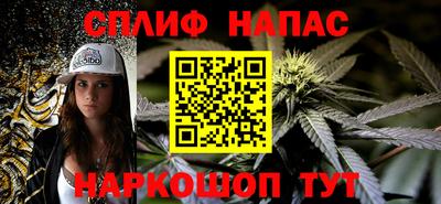 spice Славгород