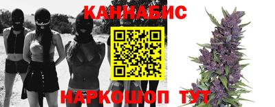 spice Славгород