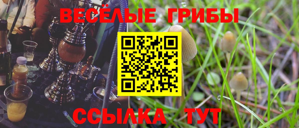 Псилоцибиновые грибы мицелий  Галлюциногенные грибы мицелий  Вход с VPN  Белогорск 