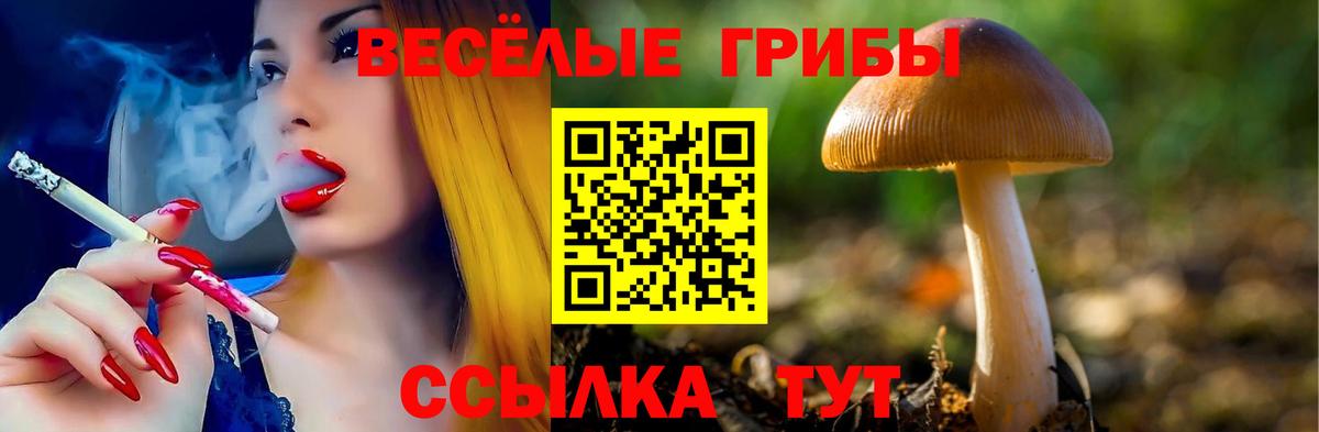 Галлюциногенные грибы GOLDEN TEACHER Белогорск